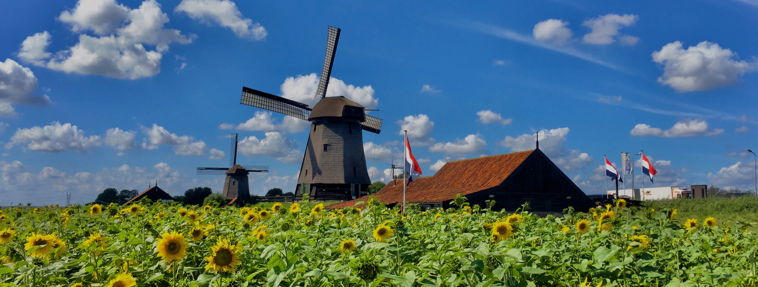 Bezoek de Museummolen in Schermerhorn!