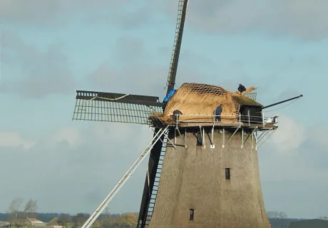 Préserver le patrimoine culturel